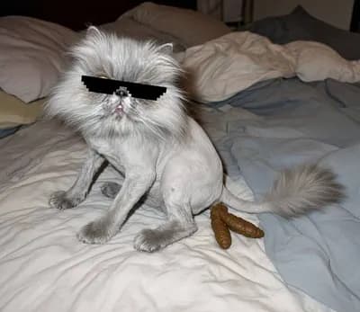 Deal with it