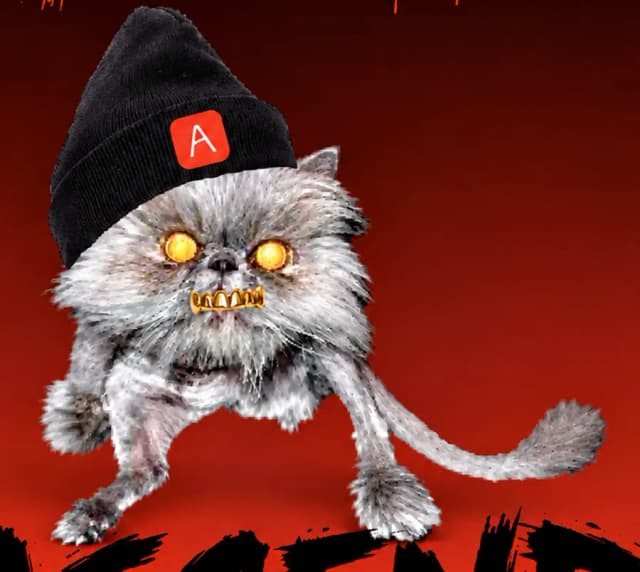 CLOVE, a cat with gold grills and an Ascend beanie